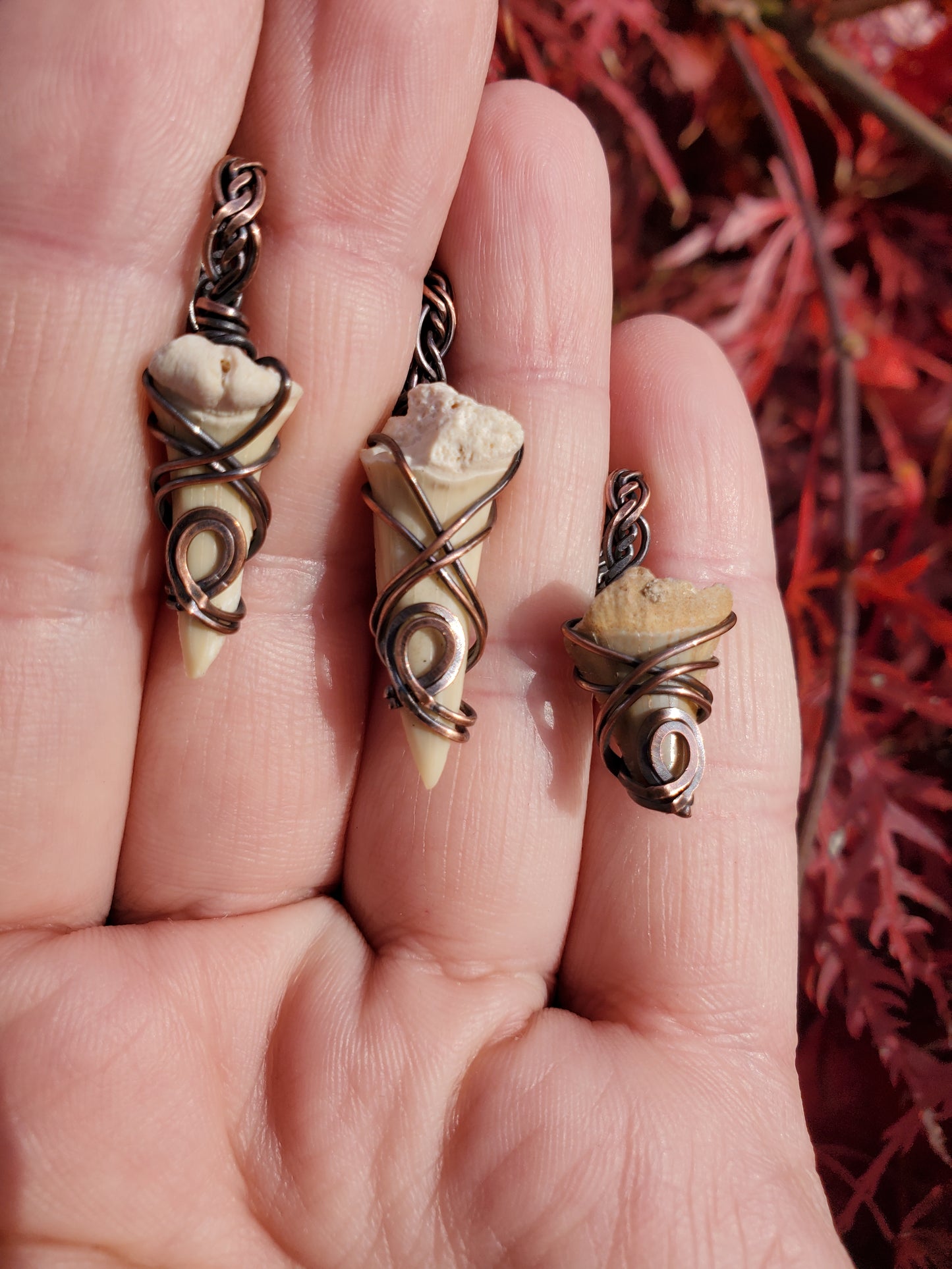 Shark Tooth in Copper Pendant