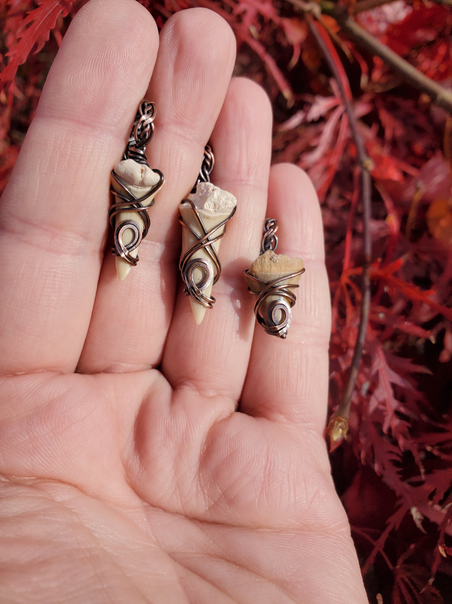 Shark Tooth in Copper Pendant