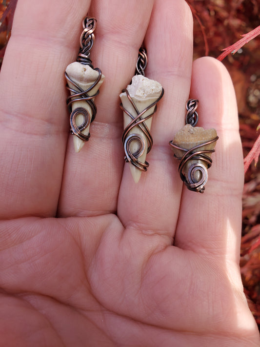 Shark Tooth in Copper Pendant