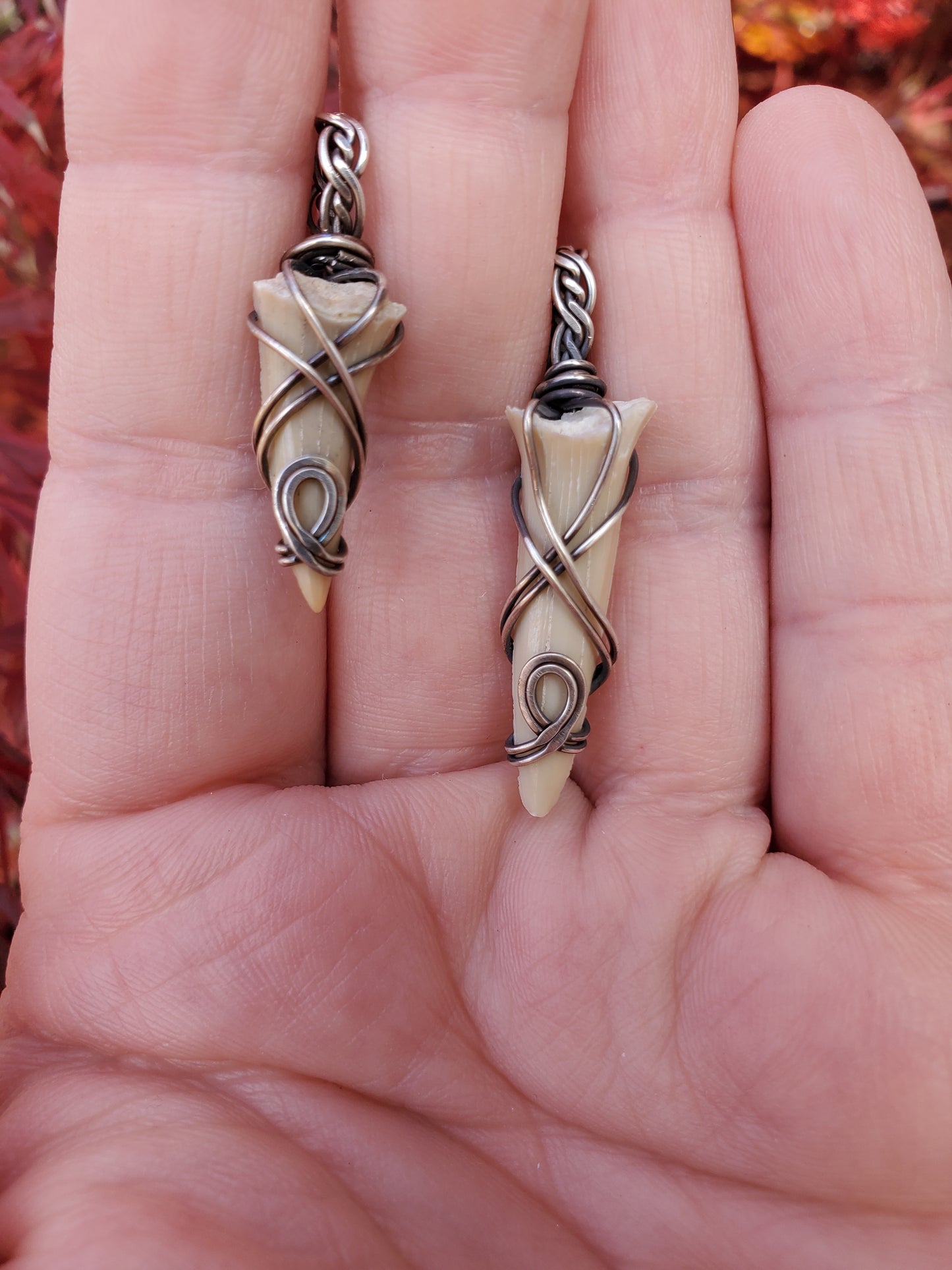 Shark Tooth in Silver Pendant